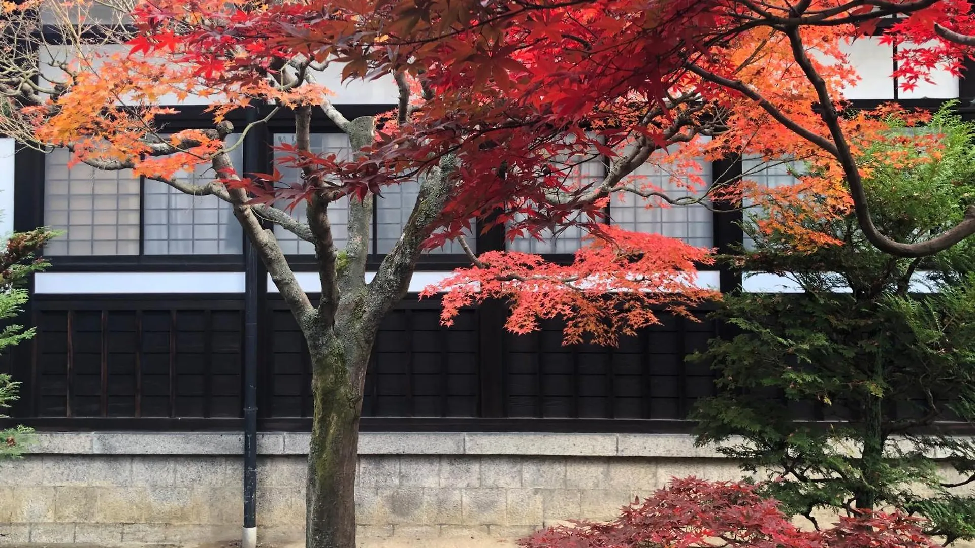 Inari-Home Kyoto 0*,