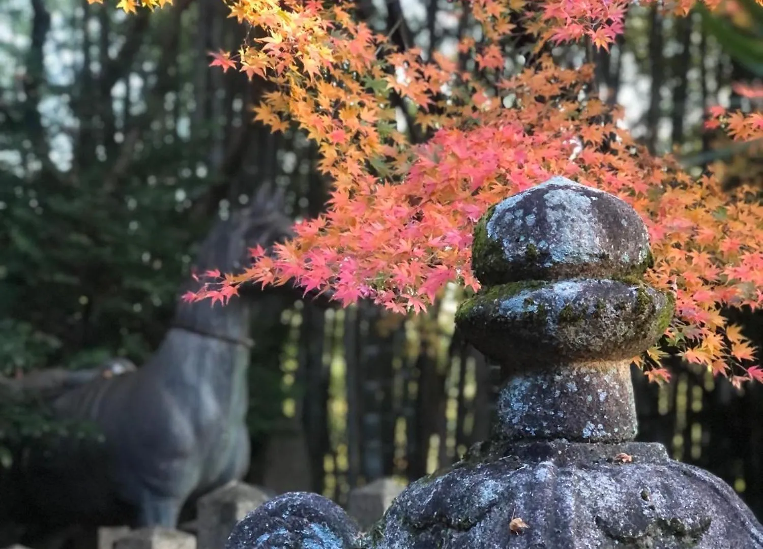 Inari-Home Kyoto