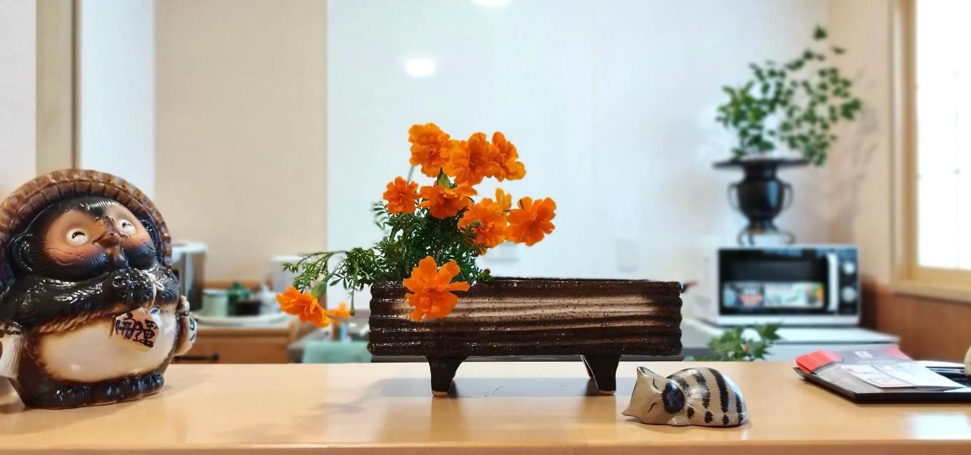Inari-Home كيوتو 0*,  اليابان